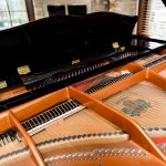 the inner workings of a baby grand piano